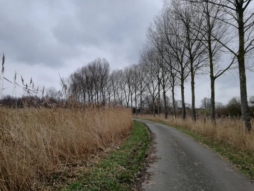 Plains of Zwijndrecht, Antwerp (Belgium)